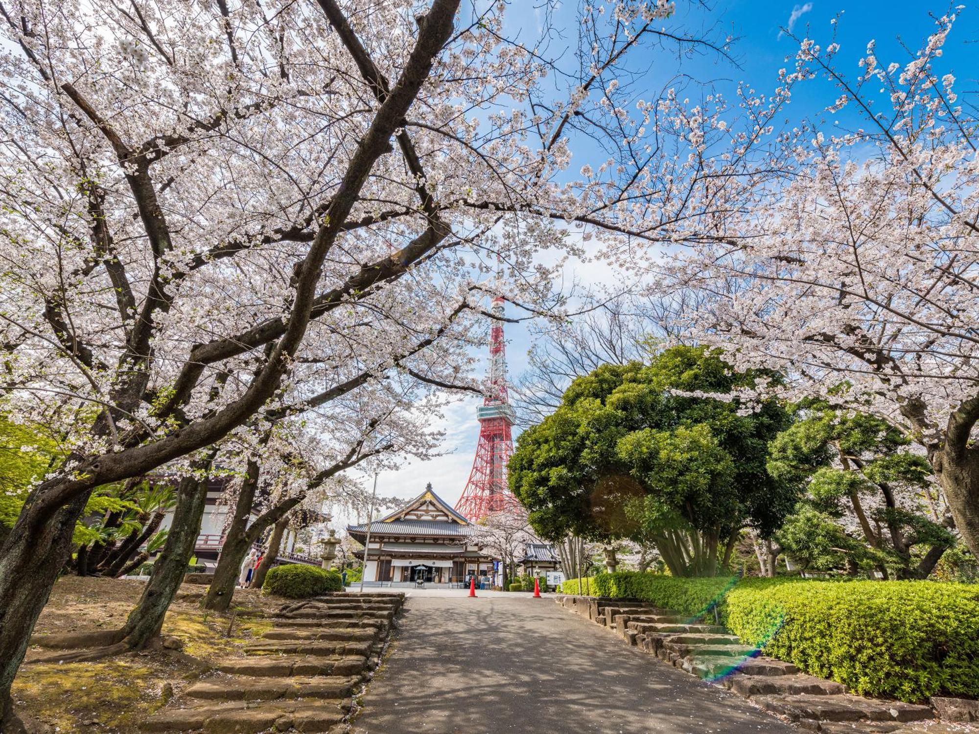 Hotel Illi Rom Hamamatsucho Tokio Zewnętrze zdjęcie
